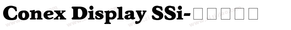 Conex Display SSi字体转换